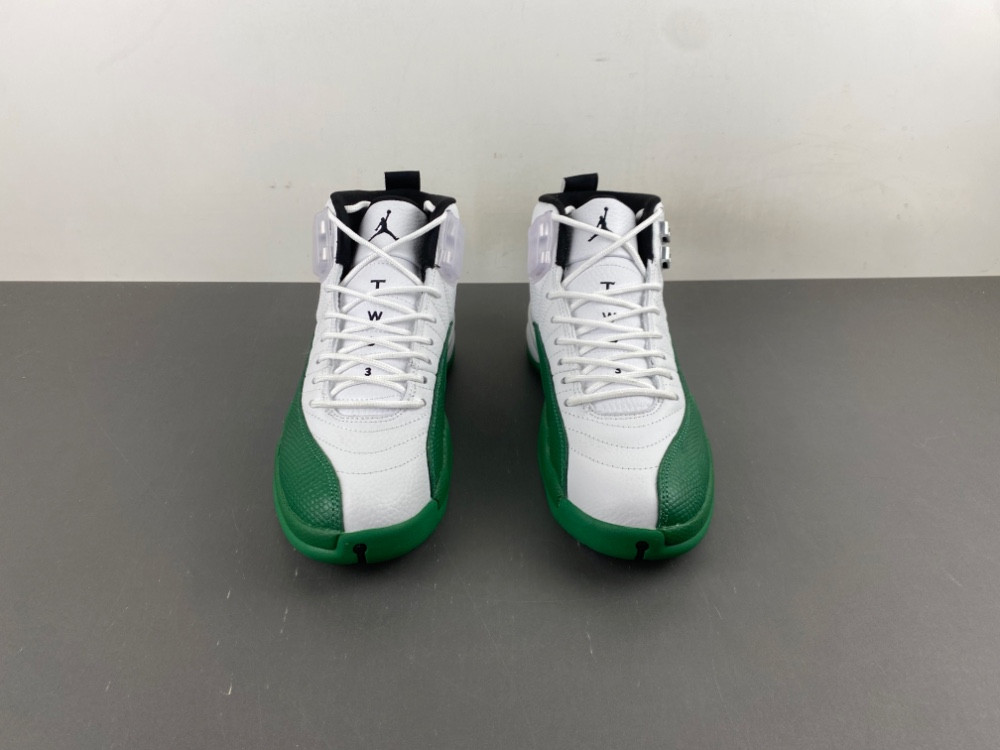 Air Jordan 12 "Bucks" CT8013-103