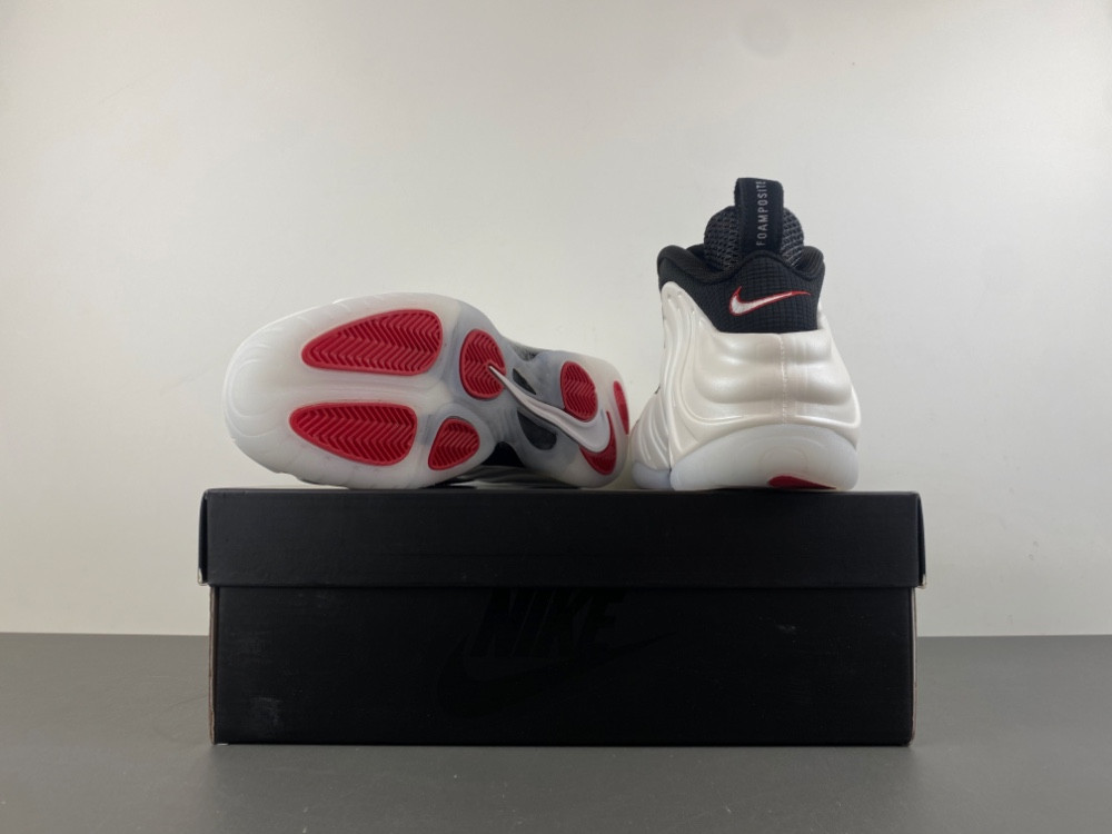 Nike Air Foamposite Pro 