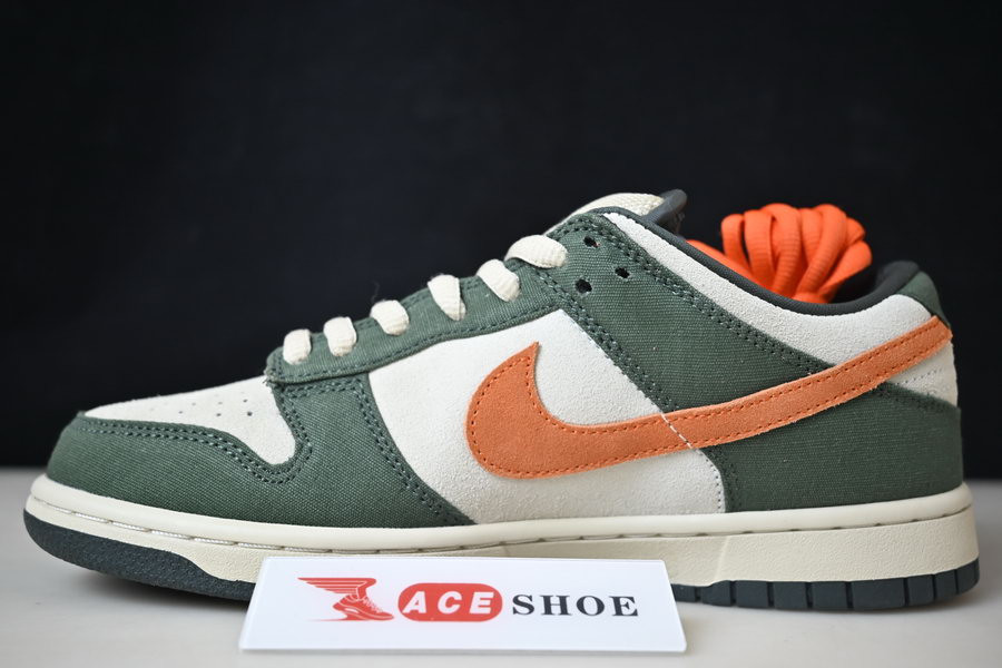 nike dunk sb low "eire" 304292-185