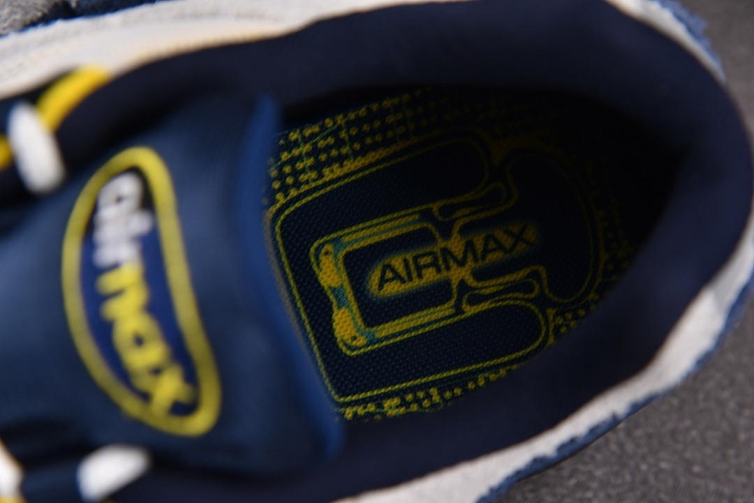 Nike SB x Eric Koston Air Max 95 